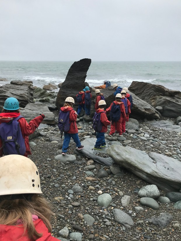 02C4934A-3DC1-45BC-AC12-B3BE98341FBE