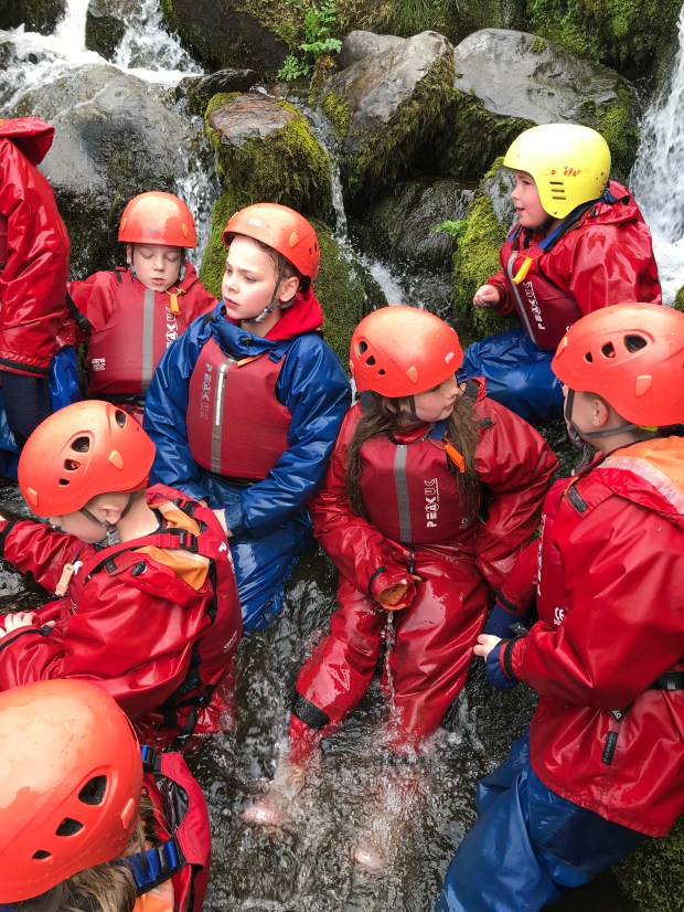 0B208445-8B34-4605-A827-A90EC6674693