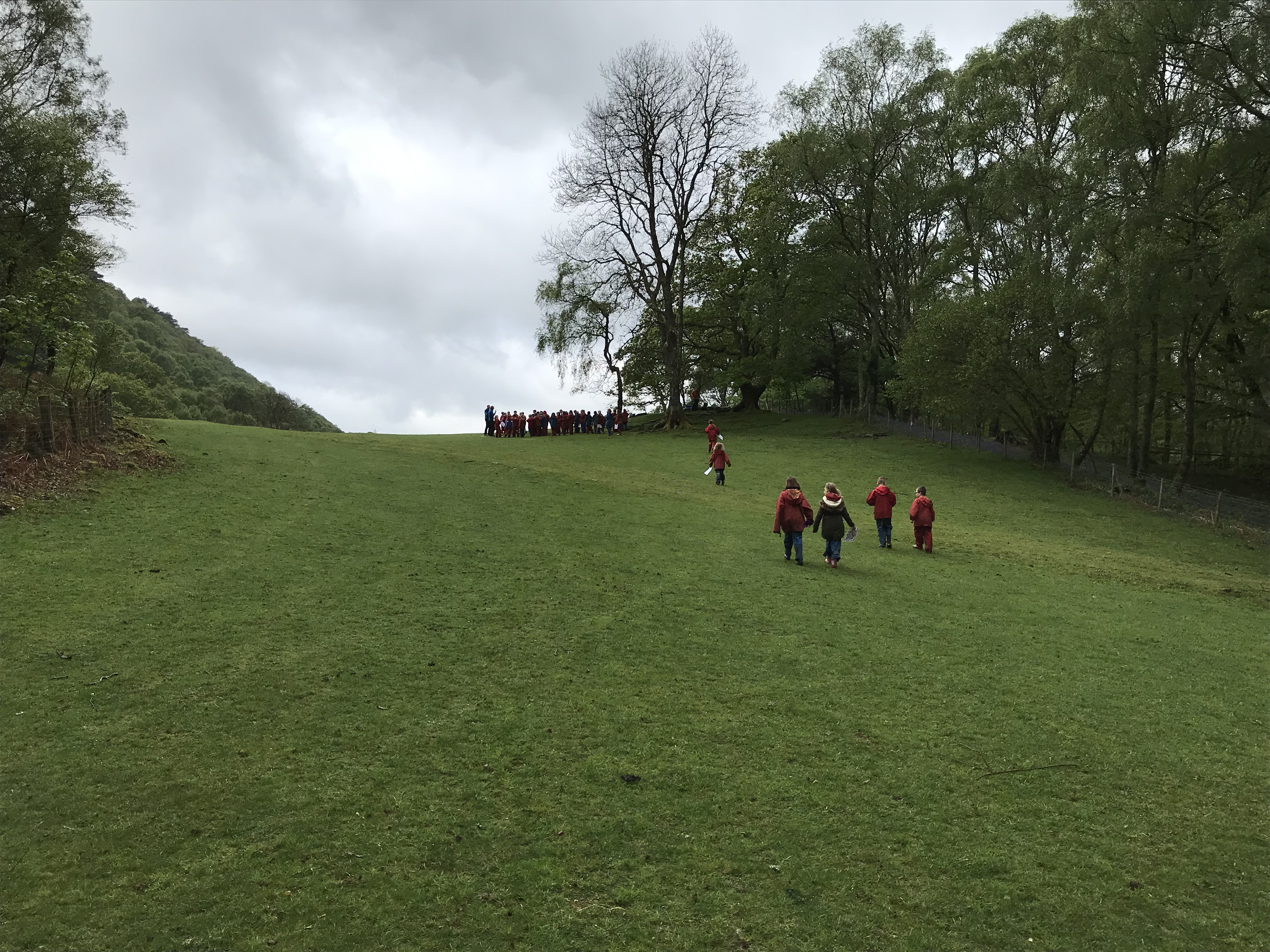 24829D2A-A398-4529-B454-D02A4E8C13F0