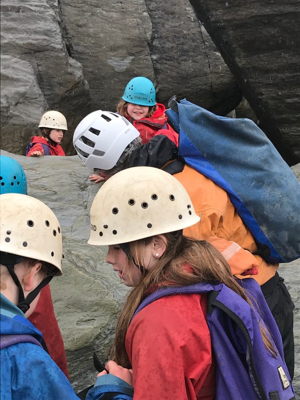 2993A6B6-D698-4D2F-B010-79DE596EF6E5