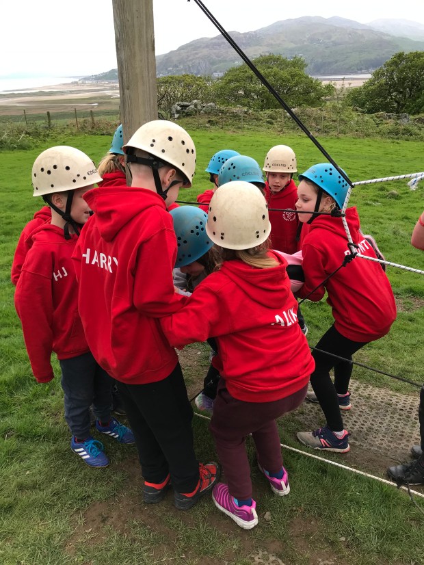 2CC6C353-16BF-4092-AA2E-B989F4B691B7