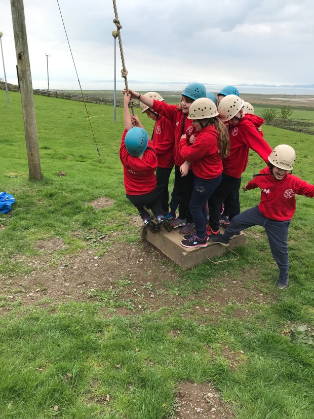 4A9CEA52-3B15-4852-9AE9-B9656C3ADBA8