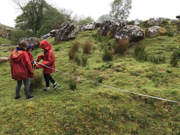 61D5833E-4CE2-453D-BD39-3750EF134DC3