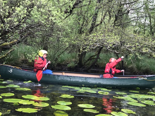 688C8038-8836-4AE2-BE64-20D94C1B97DF