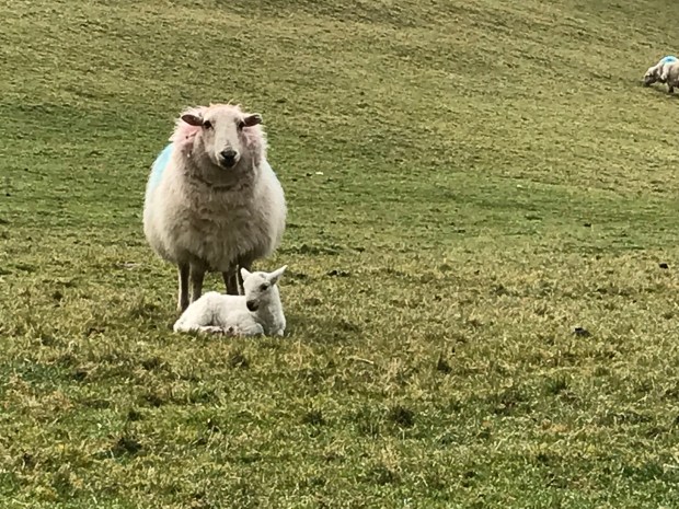 69C1021E-03C1-4B8B-BE47-B2DF31D4B0A5