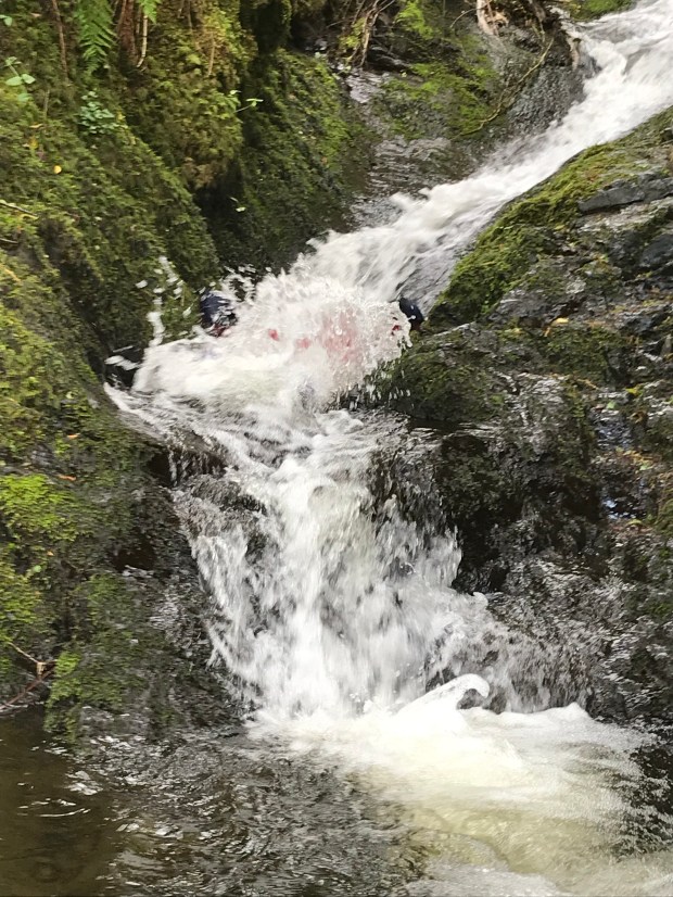 73D6BDF6-F0D9-4C0A-BEEA-EA8EBC4D61C8