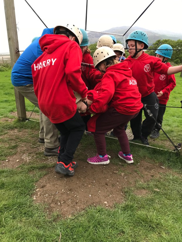 861D776D-52D6-446B-995F-6FBEDCFB0FD8