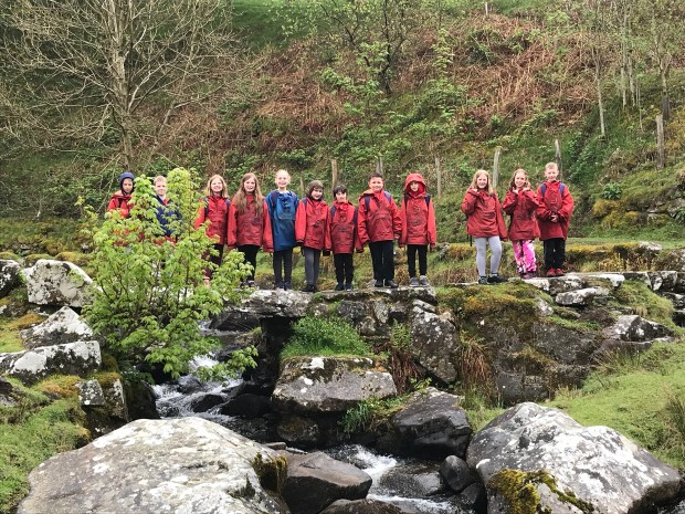 950602E6-6511-45F2-952E-CD807D1C5206