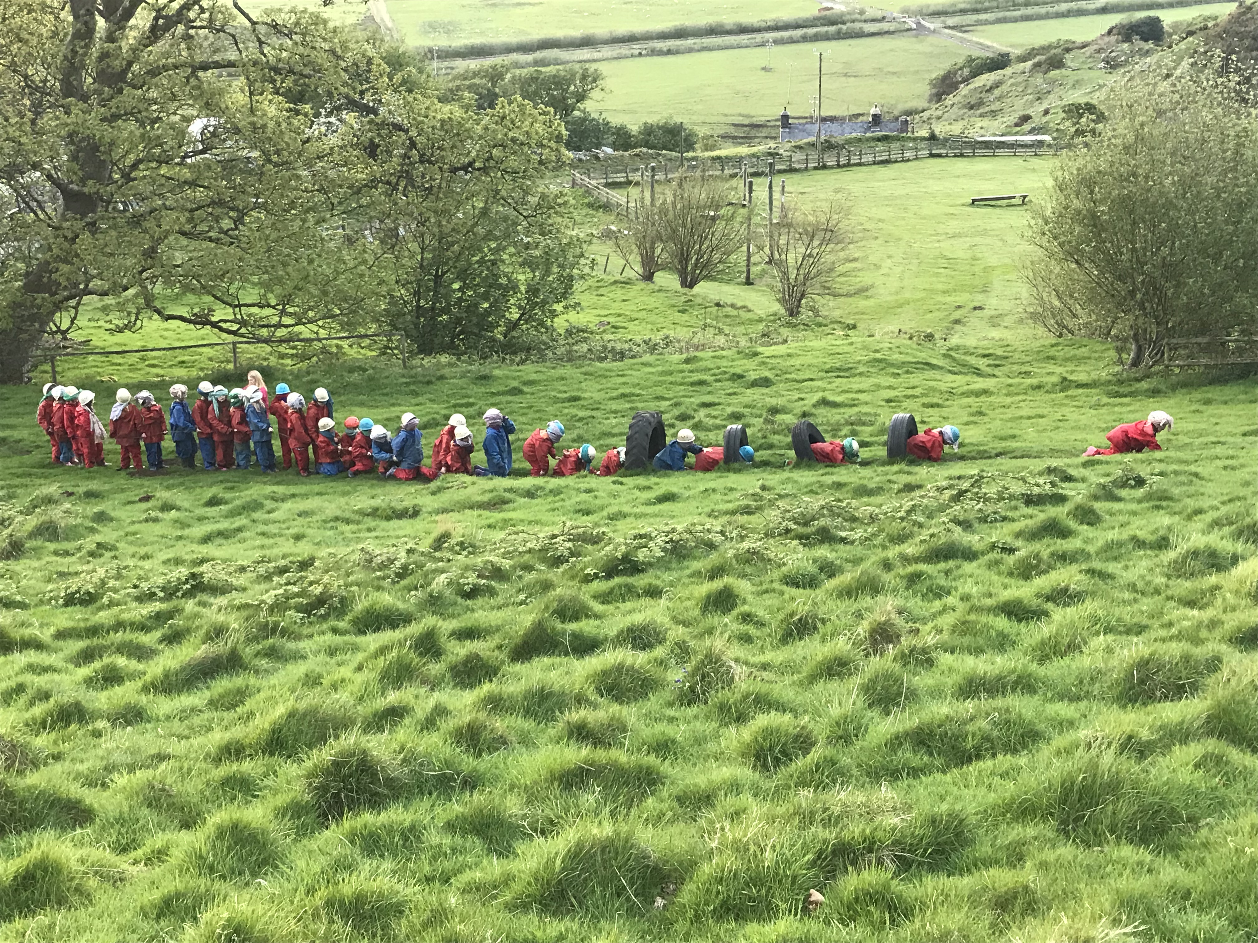 95C70FEA-3C53-44E9-87B0-530FBA95F649