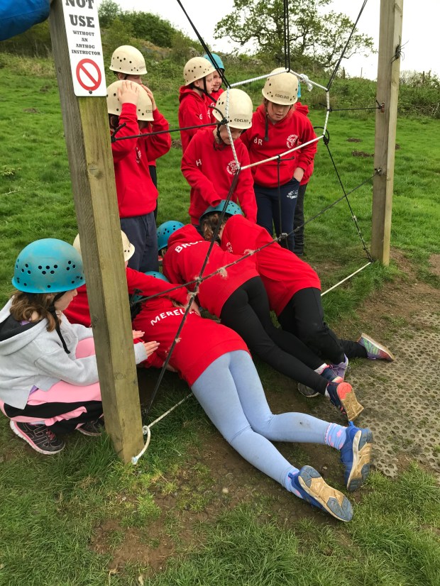 A202E510-28B4-4C29-8D85-8C4901F8E621