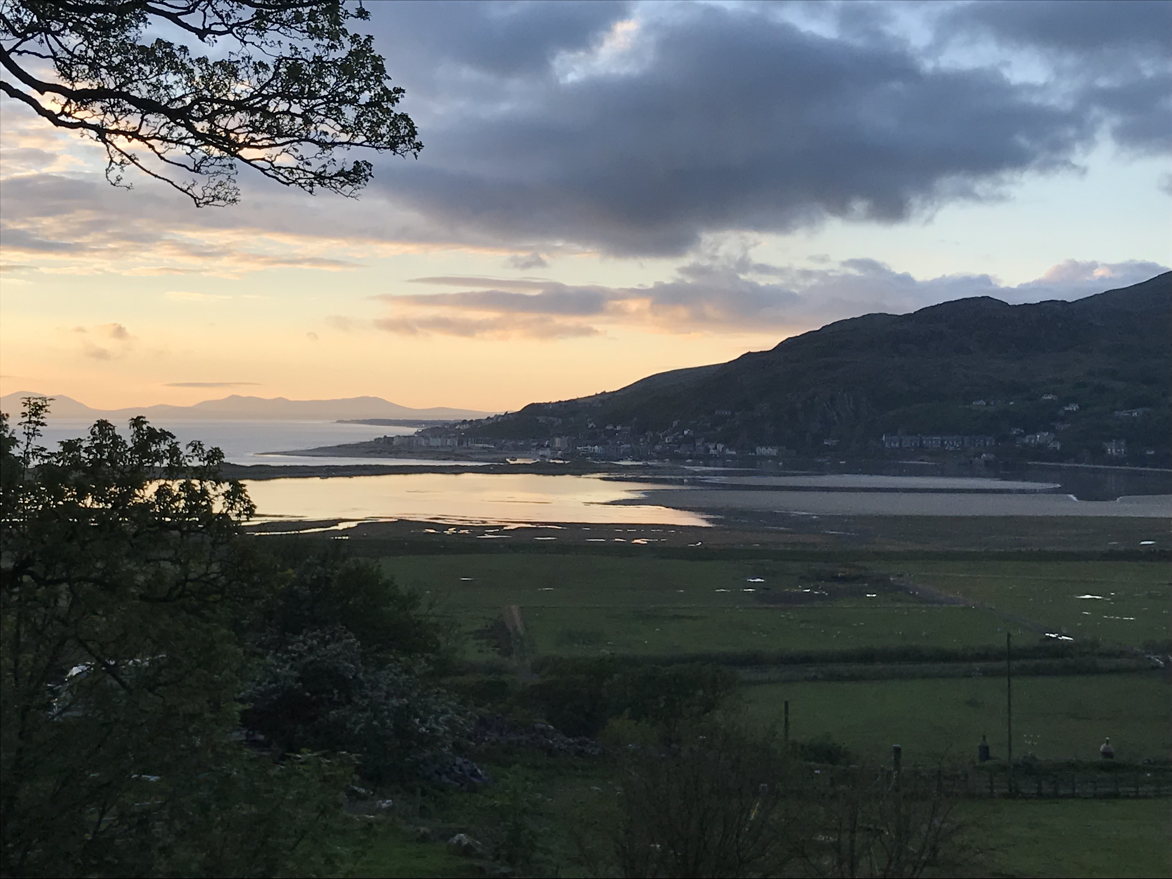 A859206C-0E1C-4A8E-A768-6481EA0A49A4