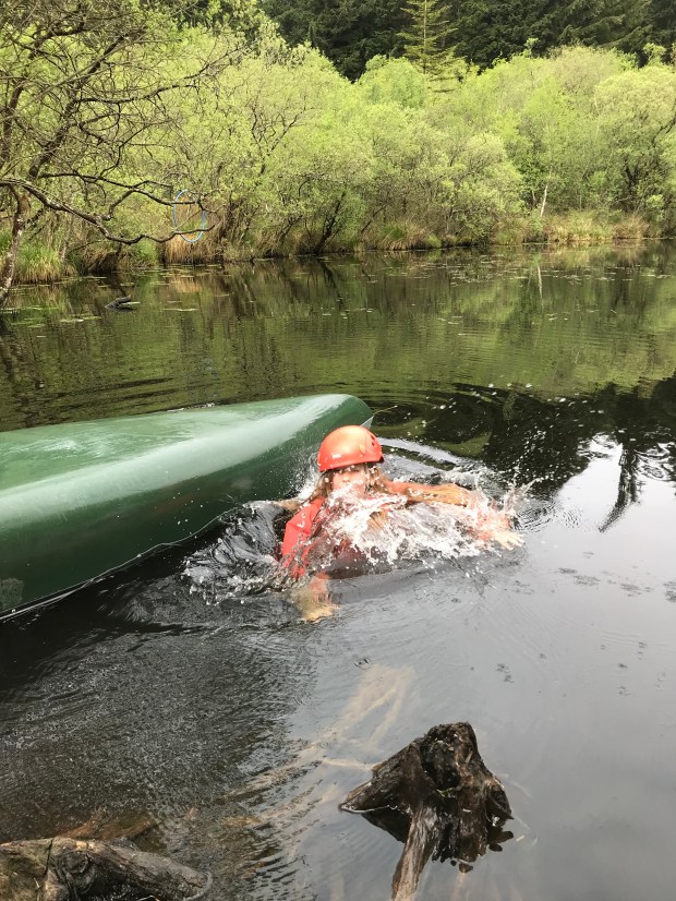 B000210C-D0D5-4750-8E92-CF6BD3A1A404