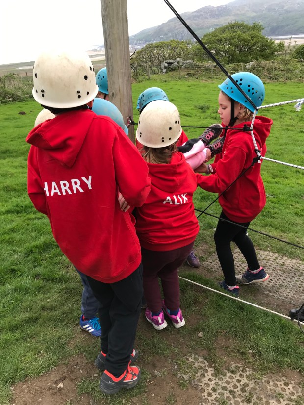 C0FAF174-4288-40B5-BA53-AAE1A31E6F79