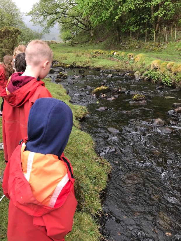 C8ACF2DC-2ABF-4EA2-AC29-397617993389