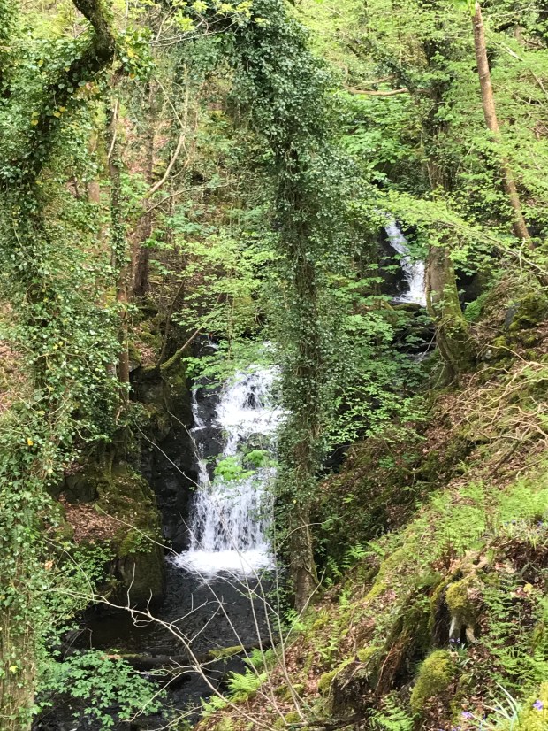 C9E070B7-4E0B-48F3-8EBB-05EE7A61404D