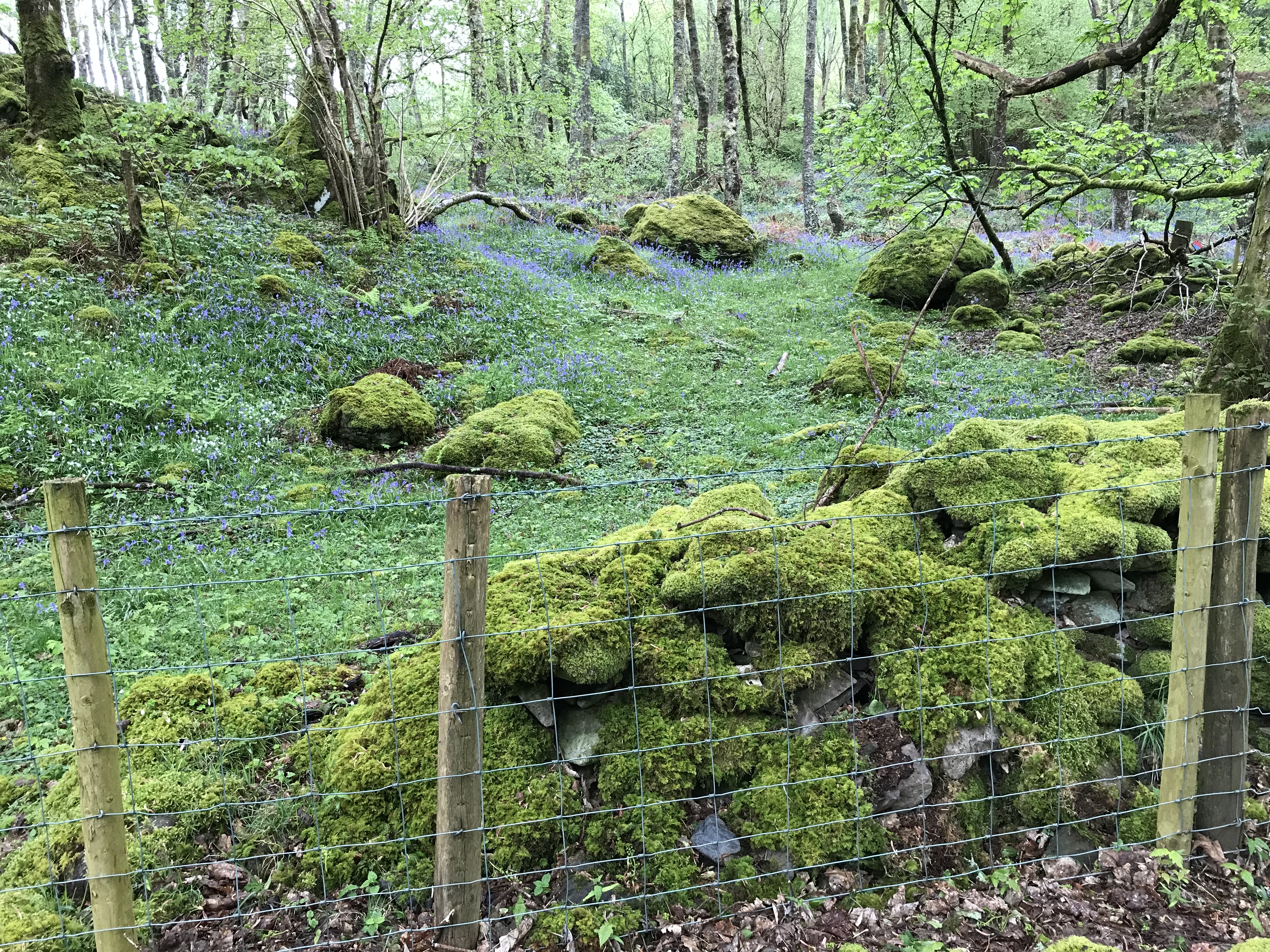 D2CE036B-9536-4F84-A36C-3DCC56C130D9