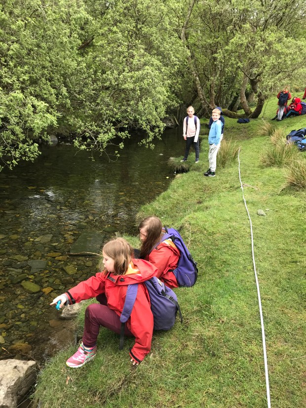 D707434F-2105-4724-B582-F9F6E0870676