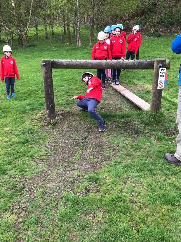 E2E3B121-6C92-4AA6-8076-DF7B92E1FFE6