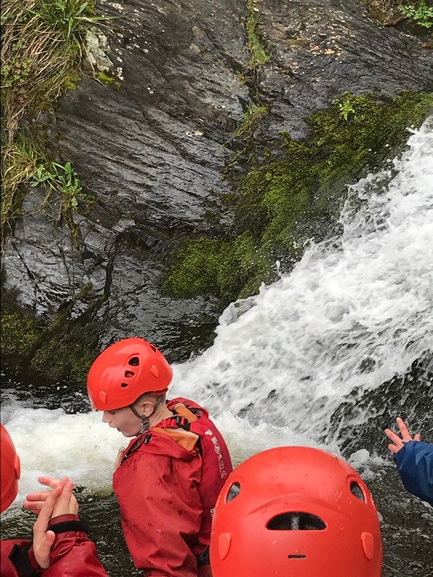 EE7FF216-E49E-40F7-875B-3A867046C888