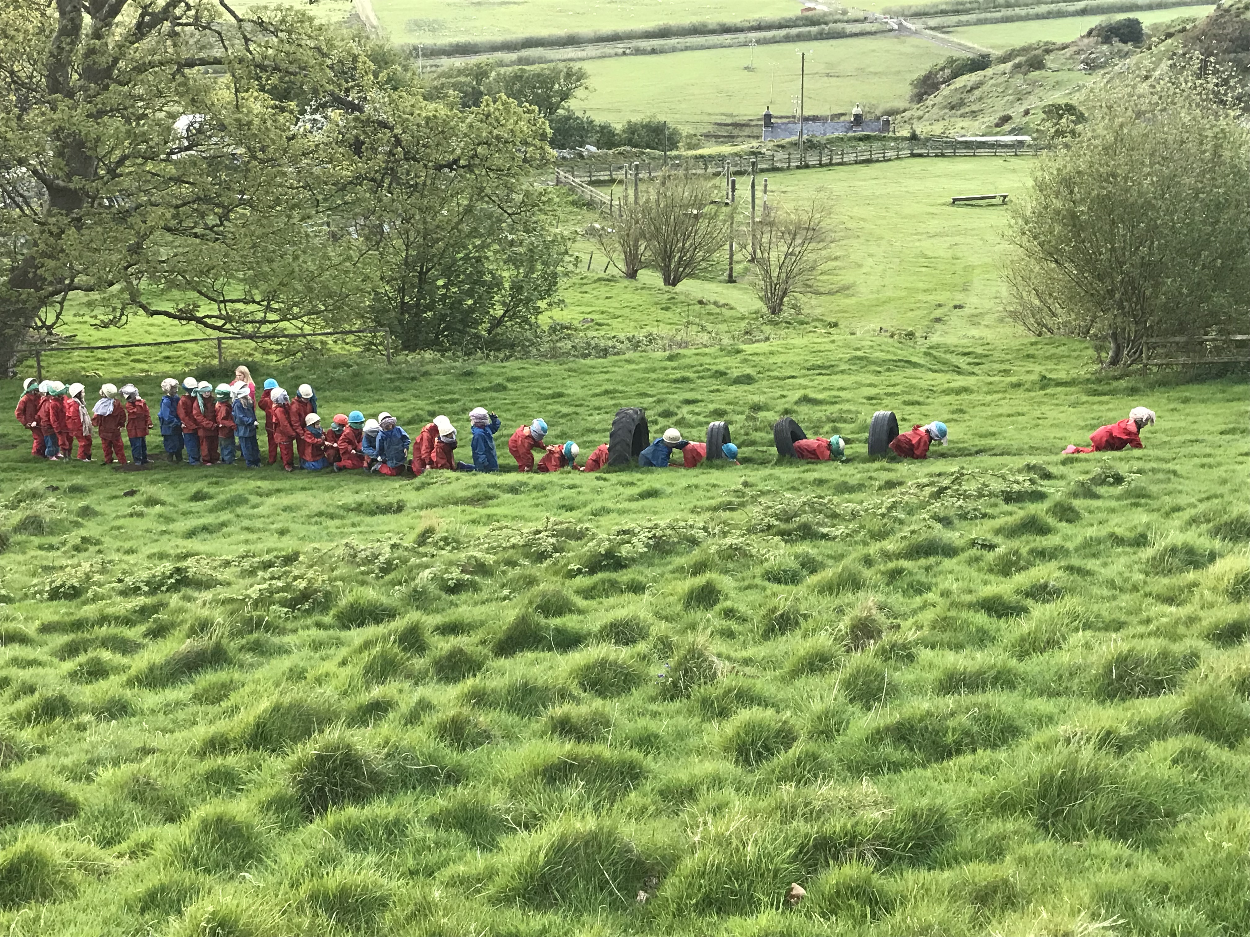 F5A96235-055B-464B-85A3-33A39D1933CB