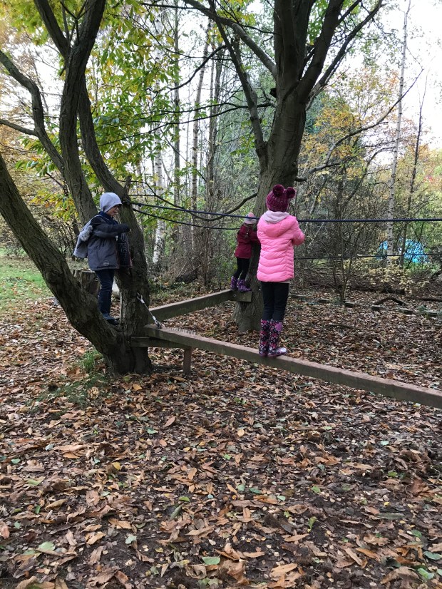 00B5B0D1-A05C-42D6-B346-0E13CFC54940