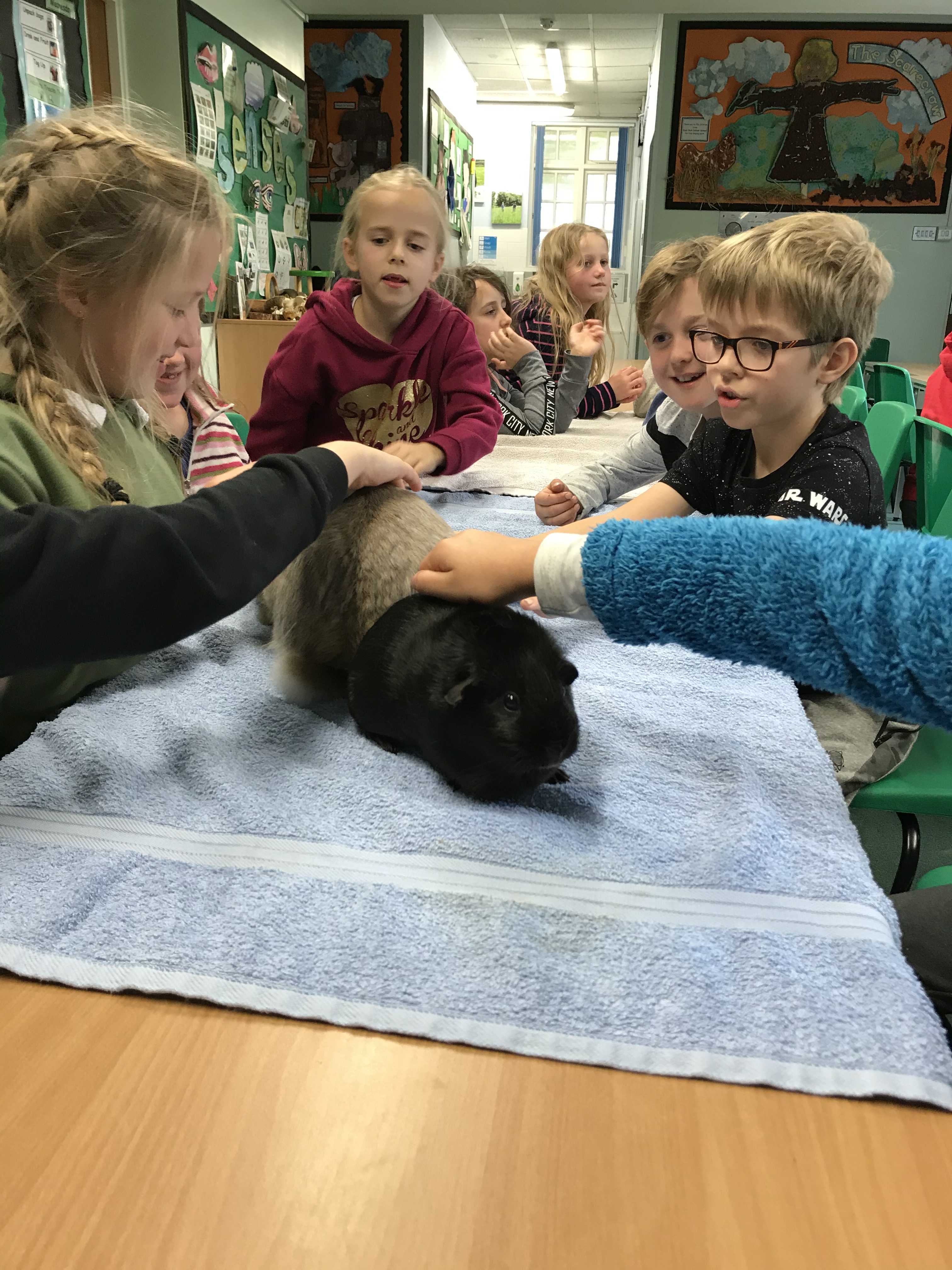 0AB65D1E-4E13-41D1-A101-CE215B1C5D82