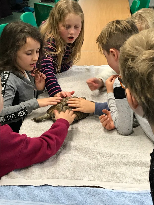 0F1A14DC-6BCE-4A4B-86A1-C84F080229C7