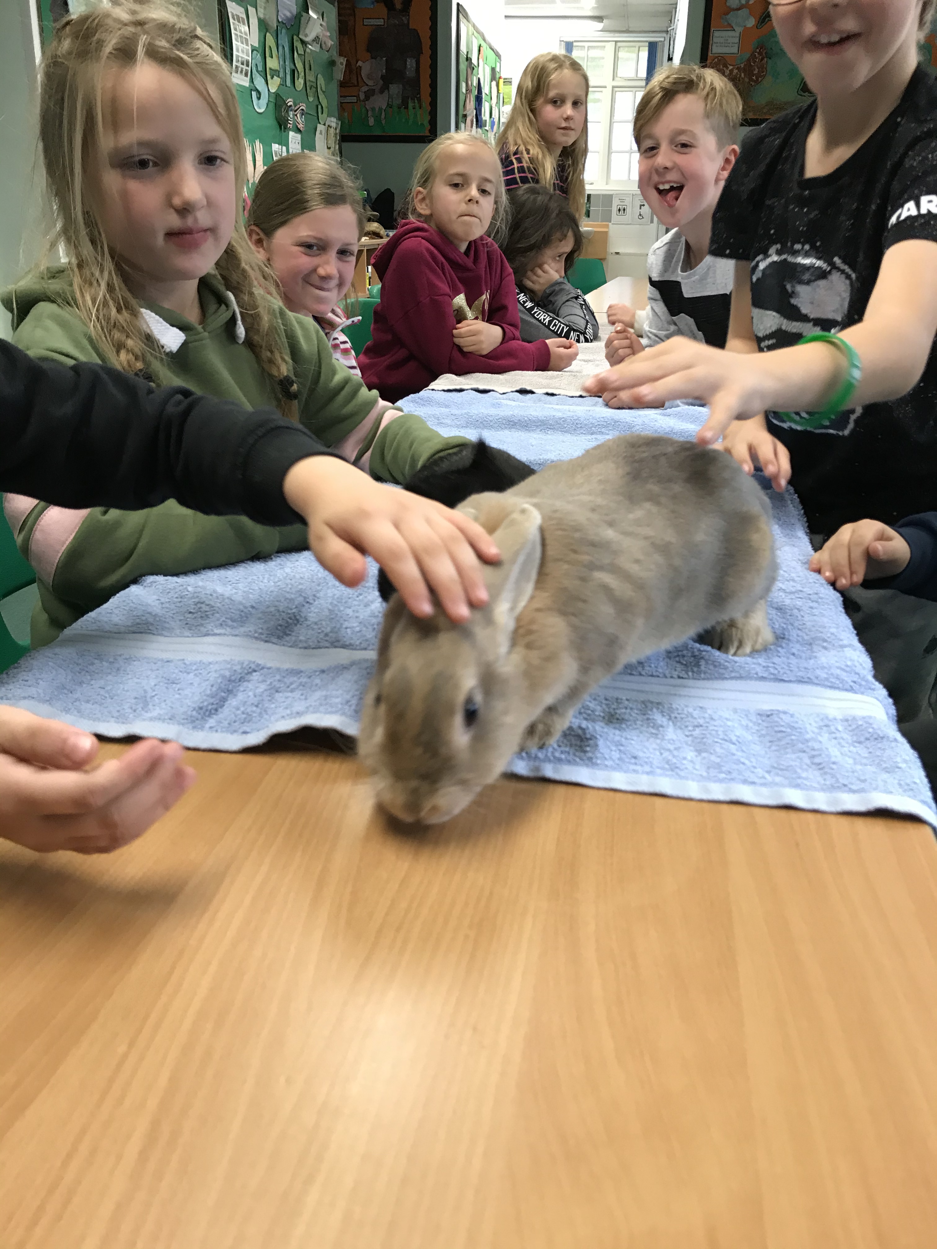 159A88F2-5D4D-41F8-9657-C844C1FC2D2B