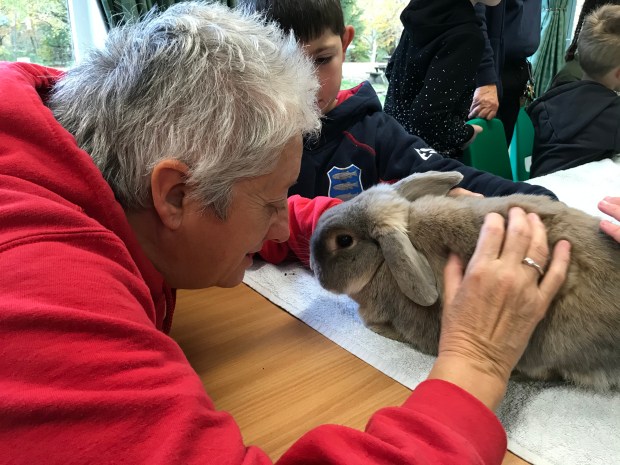 16656E5E-6DD2-43A0-90A9-B4136760FB47