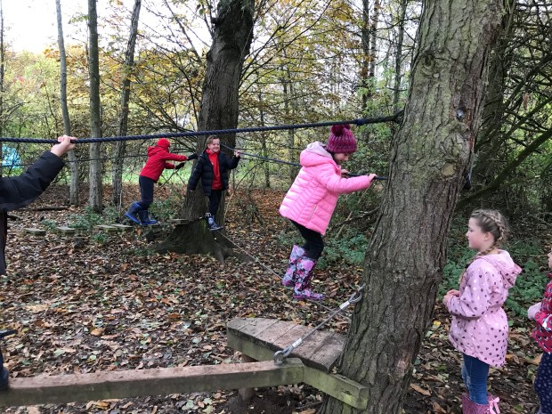 1DA7715D-A224-47ED-9066-93E70ABFE066