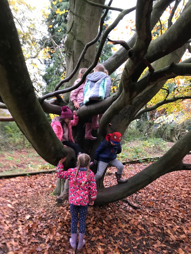 3C33EBD6-2ACD-446D-A847-80E0B22C6537