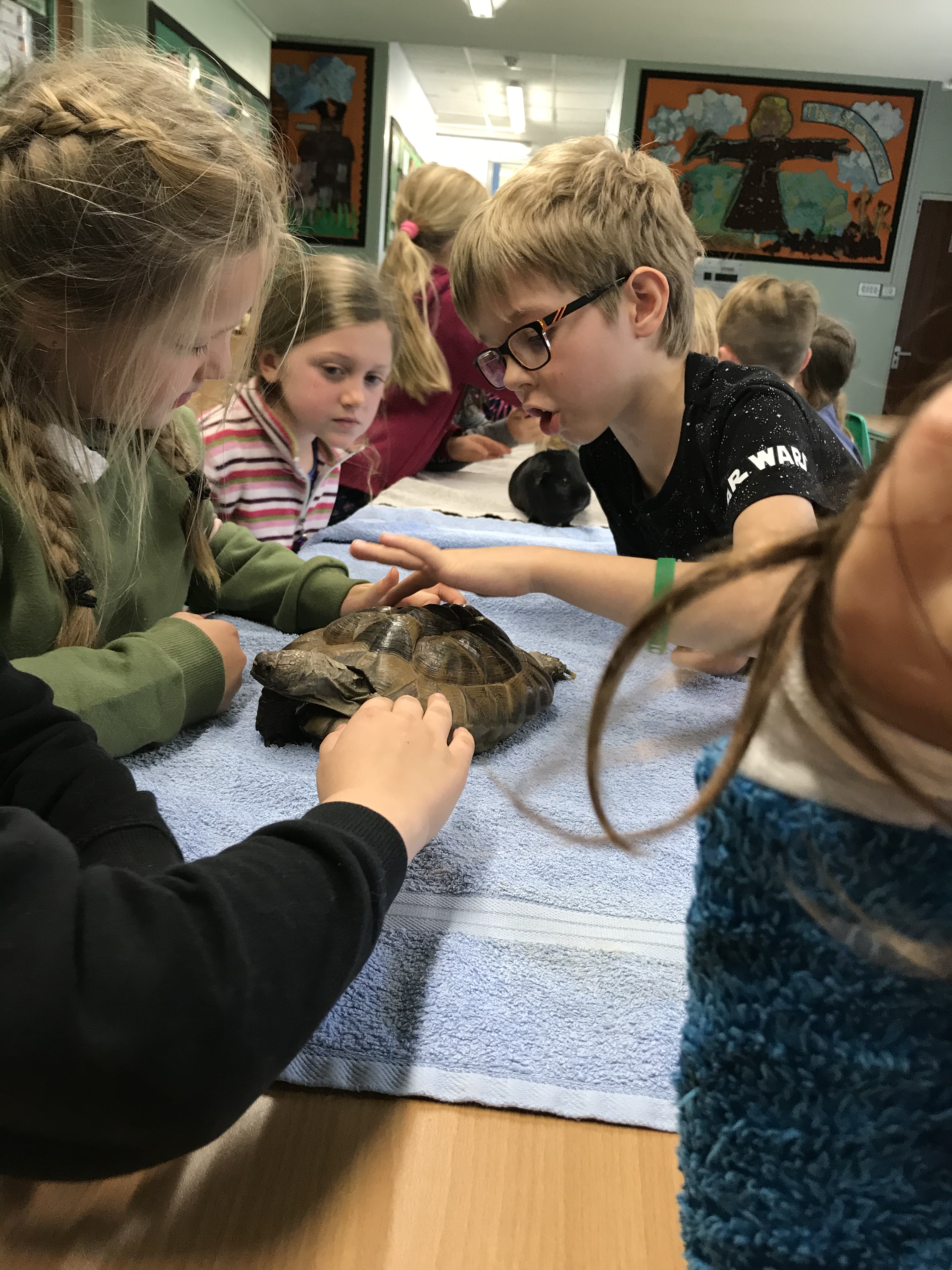 47ACAD39-16CF-4BCF-8289-68A47C3DE4E5