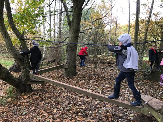 4EAB99EB-7FAE-4F21-9DED-A1017874DAD4