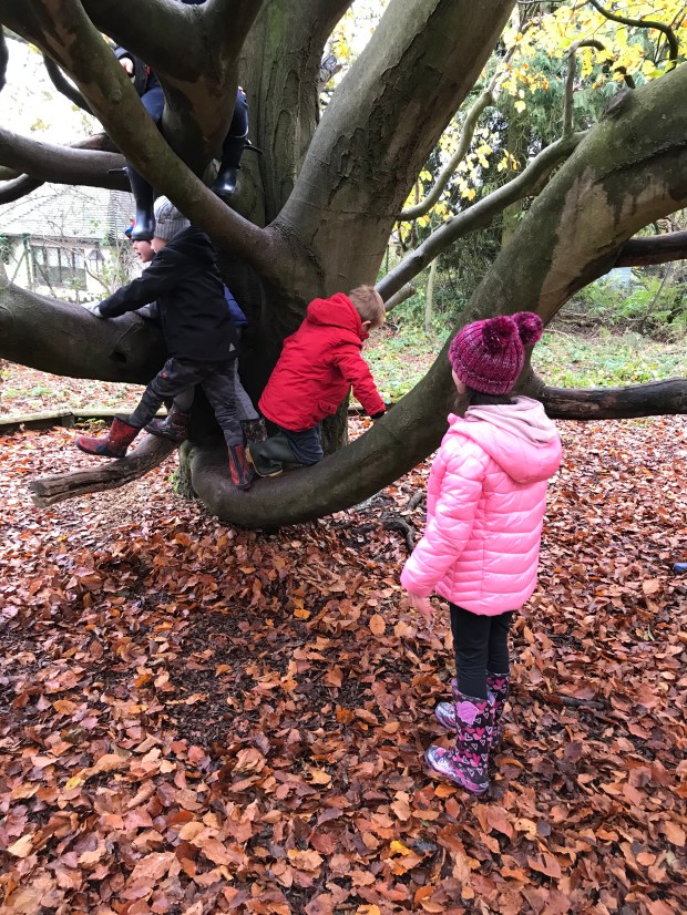 516EC537-11B8-42C4-9674-F0600EC0525E