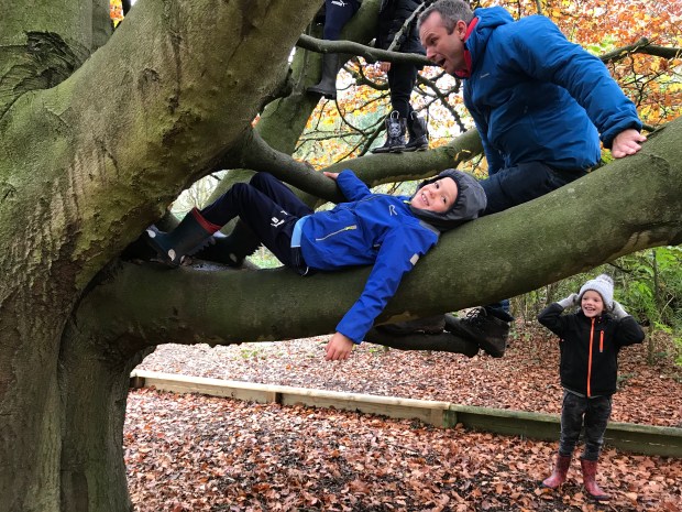 51965321-1CF0-419D-A809-10F6A11E8D21