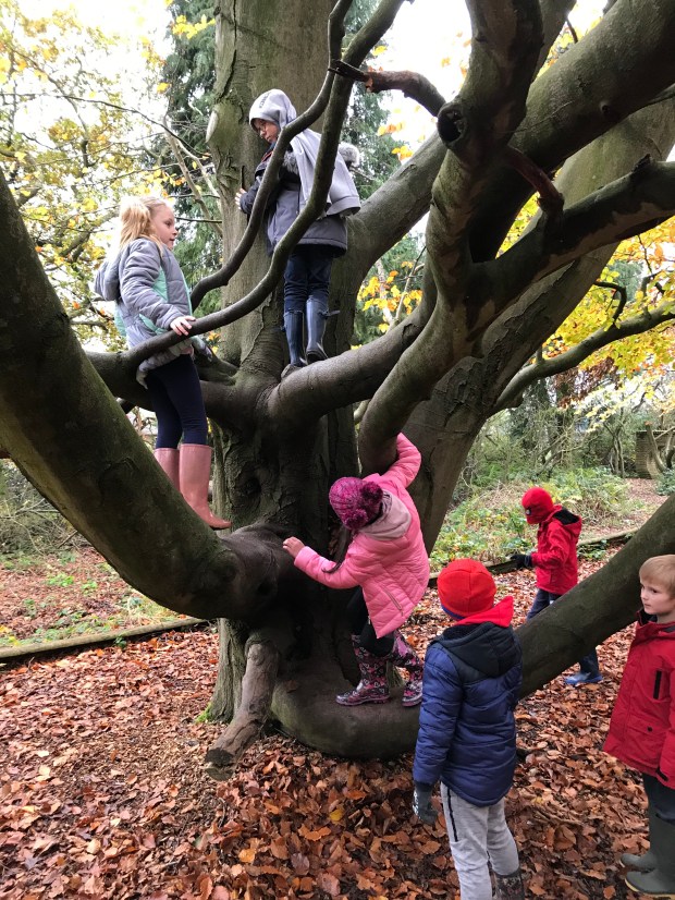 573C63A2-CD22-4515-AA58-285626BF0B02