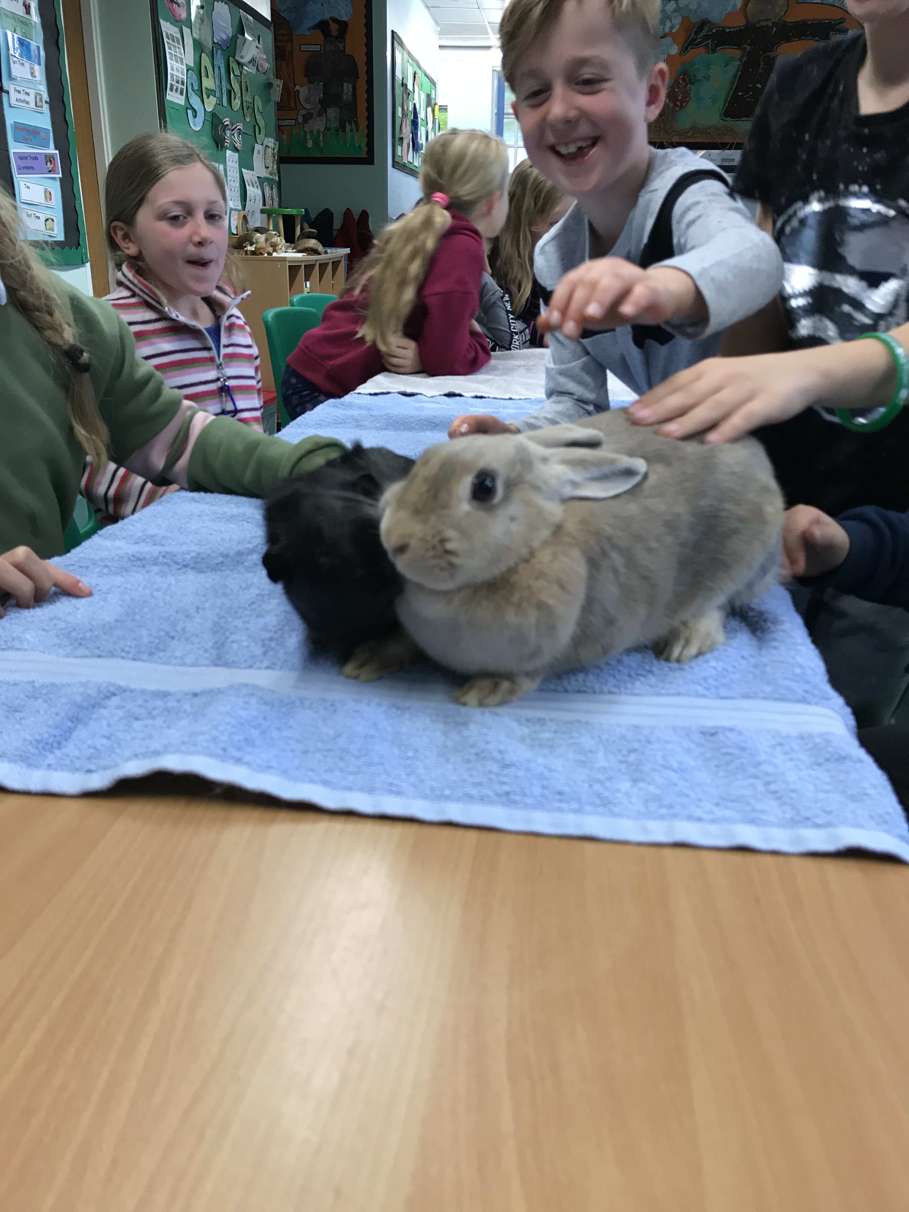 7135BFBA-1530-45BF-8EA7-1FE31440B878