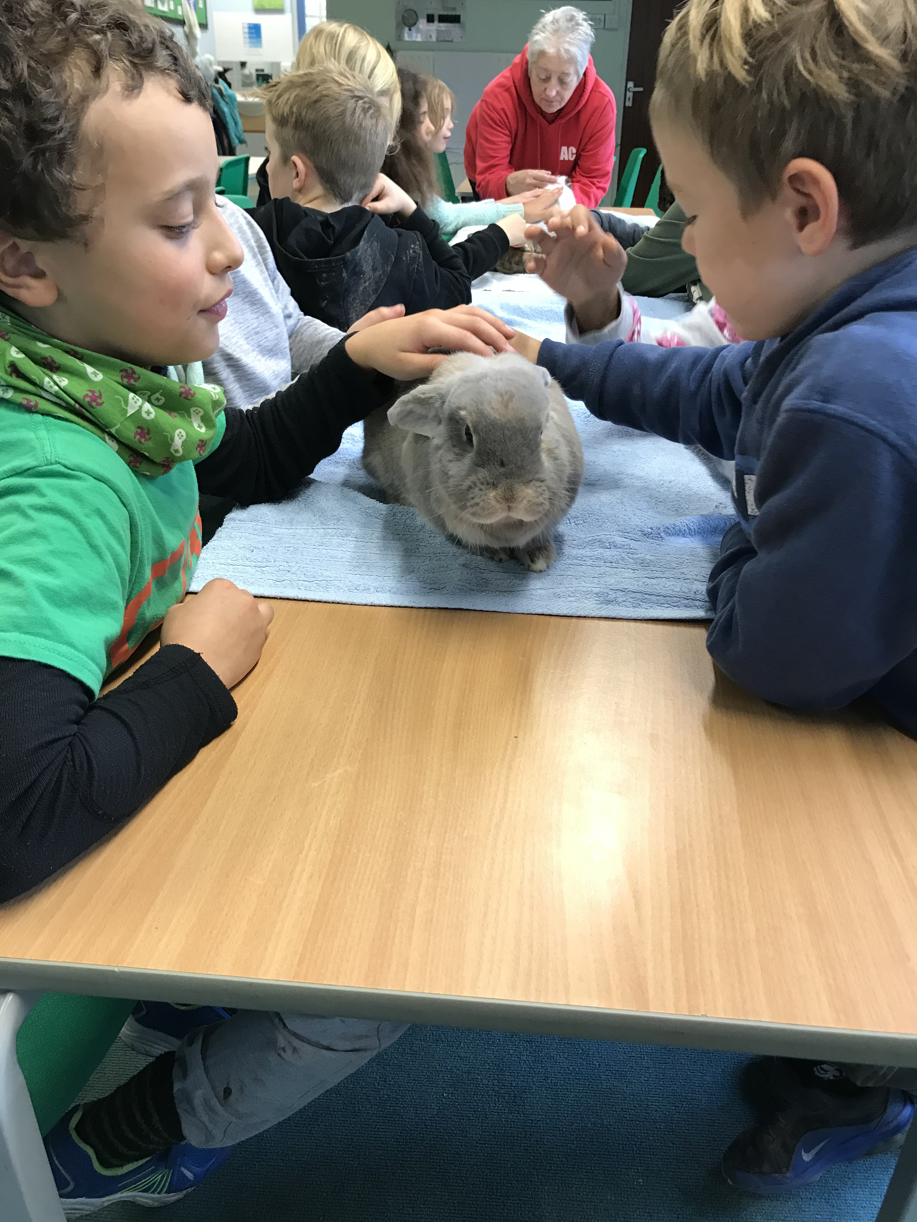 748E0990-6B3E-42B0-B46F-2A12D3EB2AD1