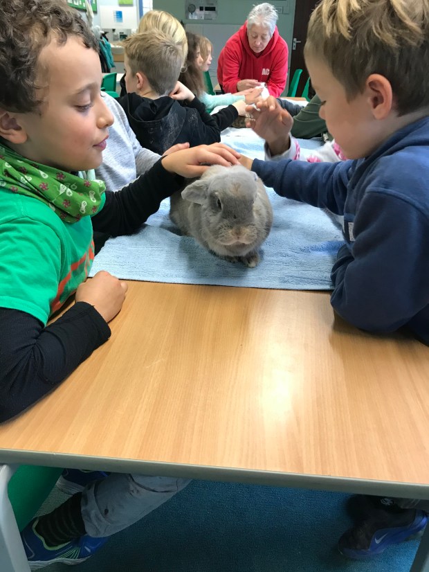 748E0990-6B3E-42B0-B46F-2A12D3EB2AD1