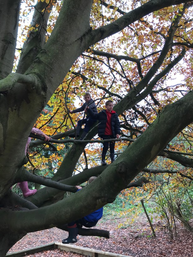 76A29943-F32E-42ED-9BF4-27A9E8408094