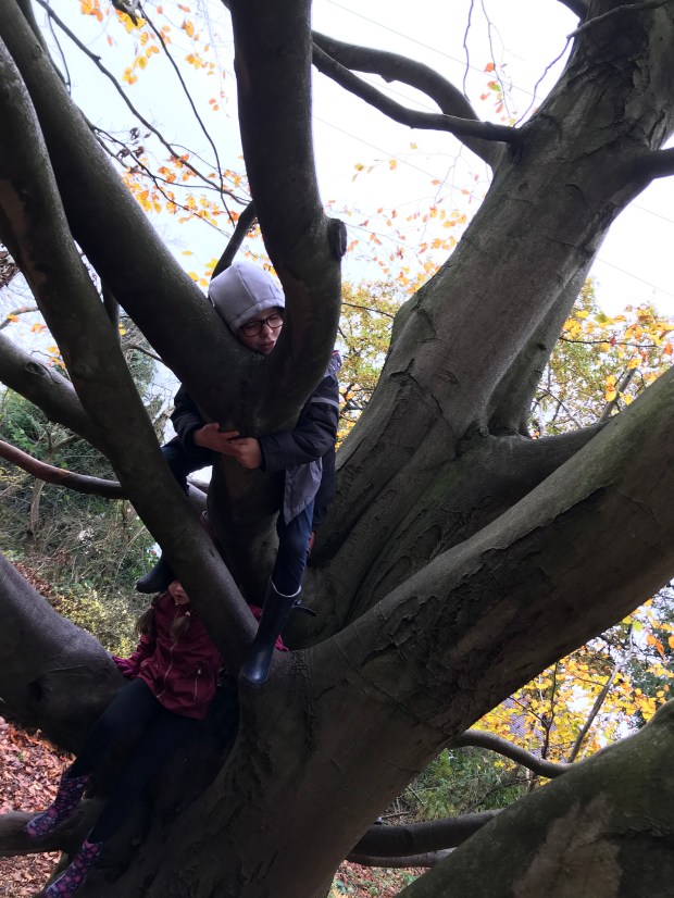 782A1CA8-50C6-4858-9148-CA55755EAF0B