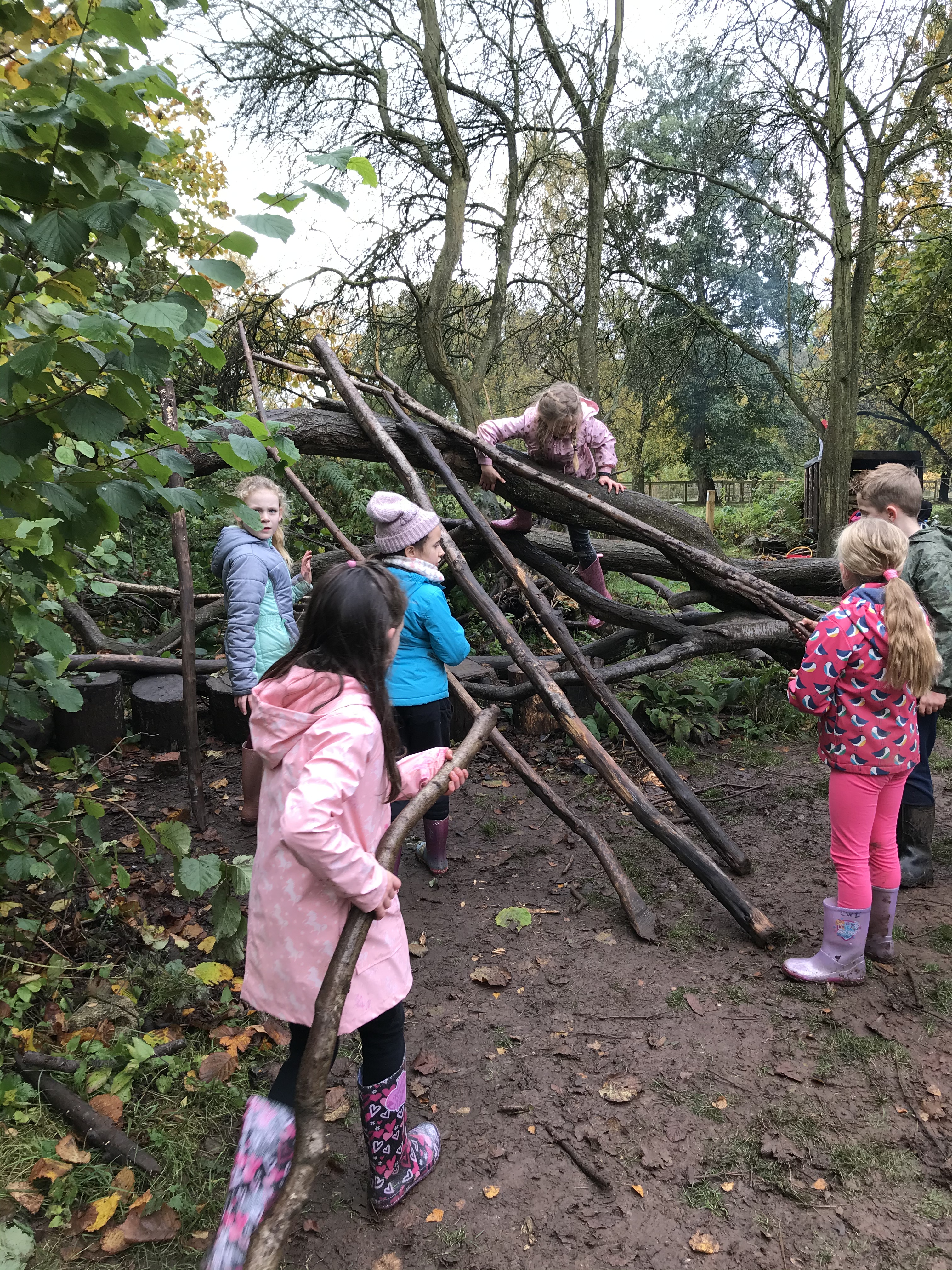 8218BAA6-E05E-4C84-8795-C14238826AAC