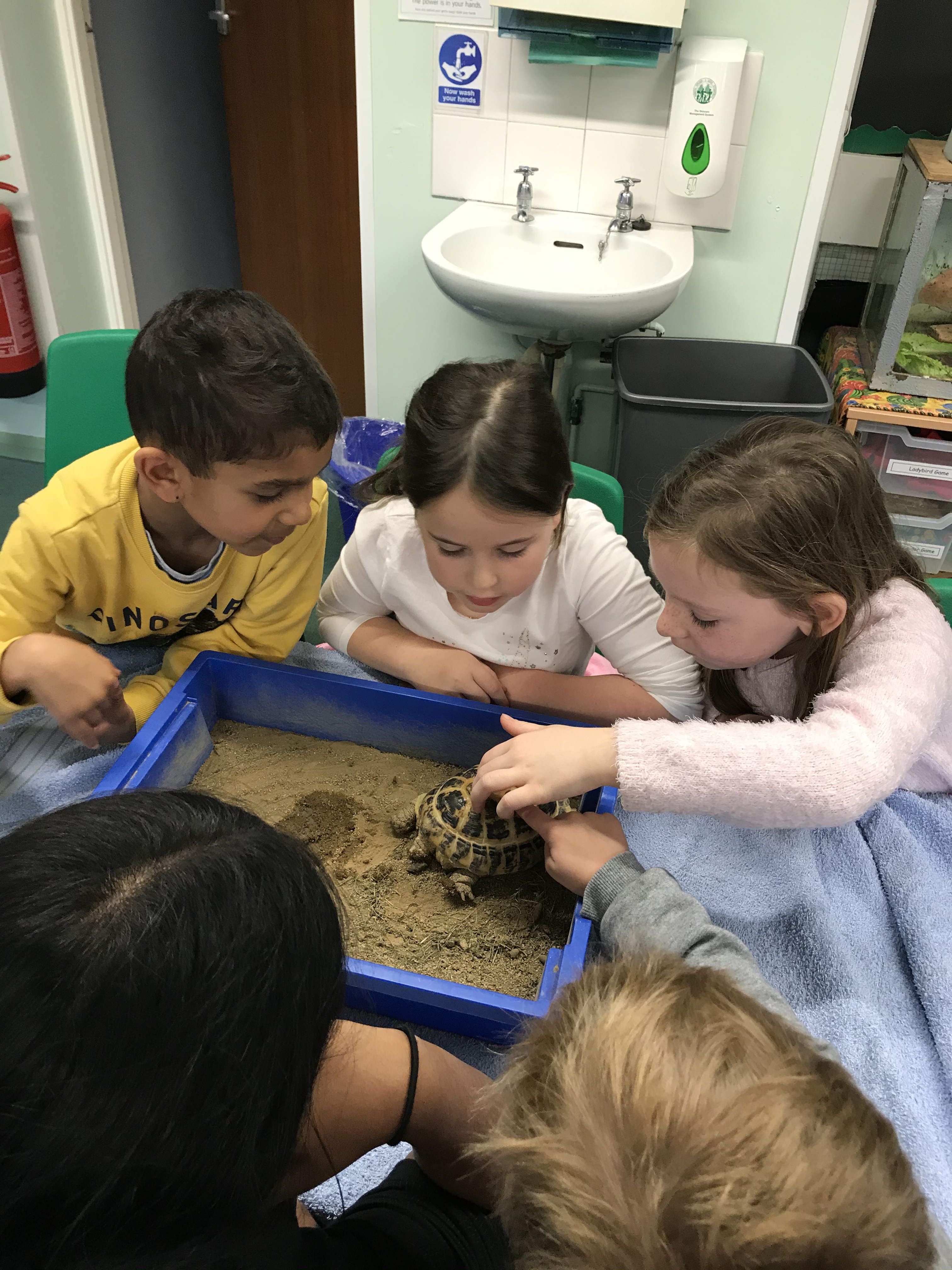 824324AD-49F0-4915-AE7D-892C4993A2CE