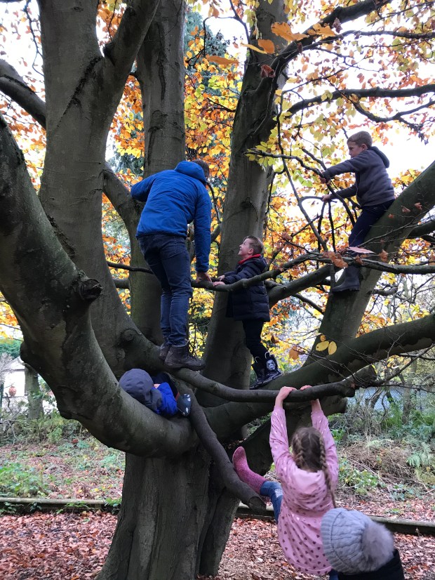 83513463-3C11-4E7A-86B2-D140730784E3