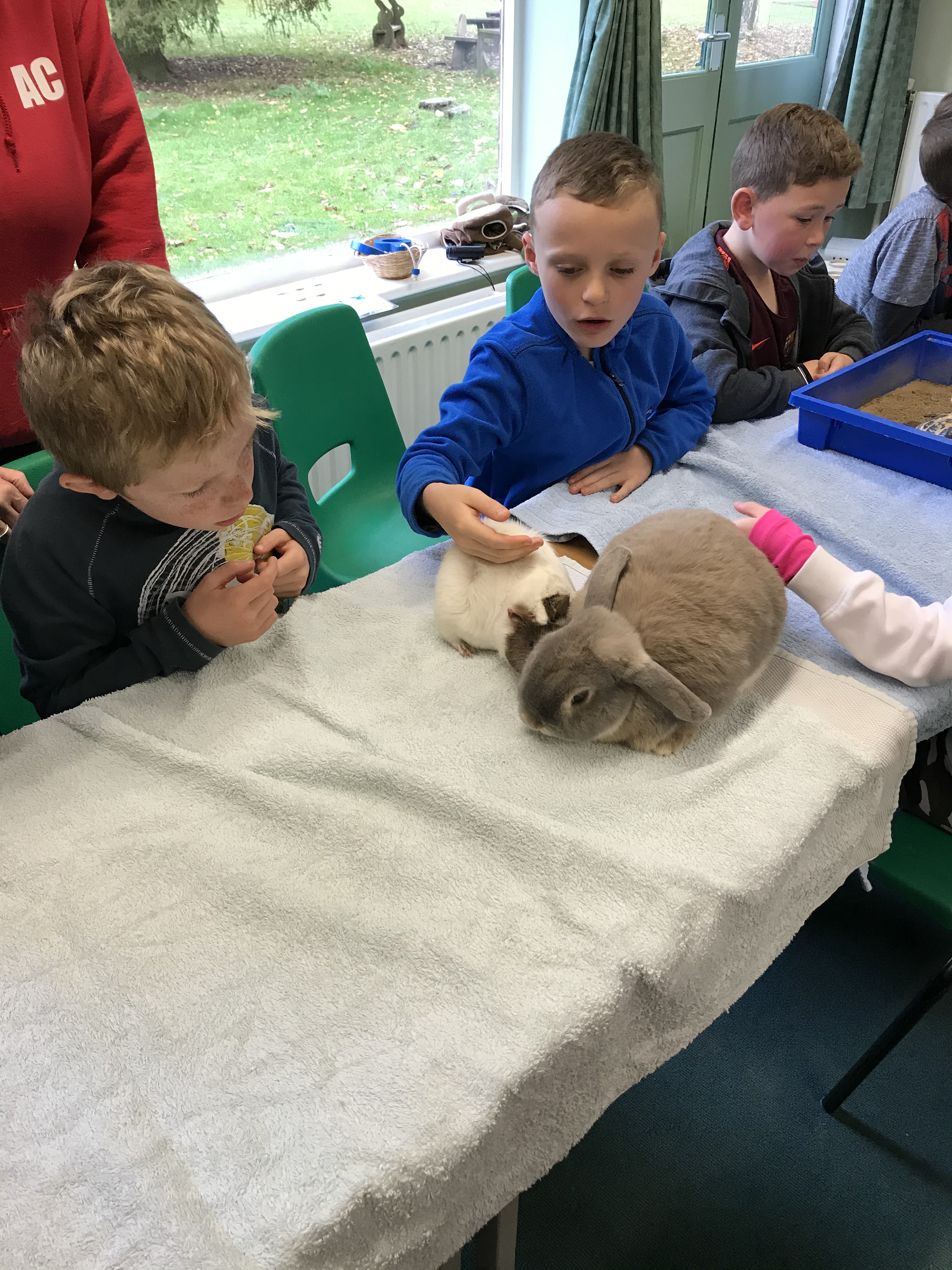 849705B7-8750-40A6-B274-1C76A3A5D9B9