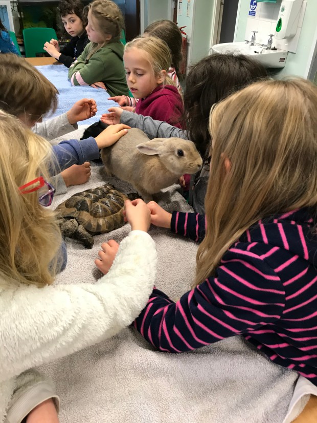 8713A394-8420-48CD-9B29-BD4BEEA11DE5