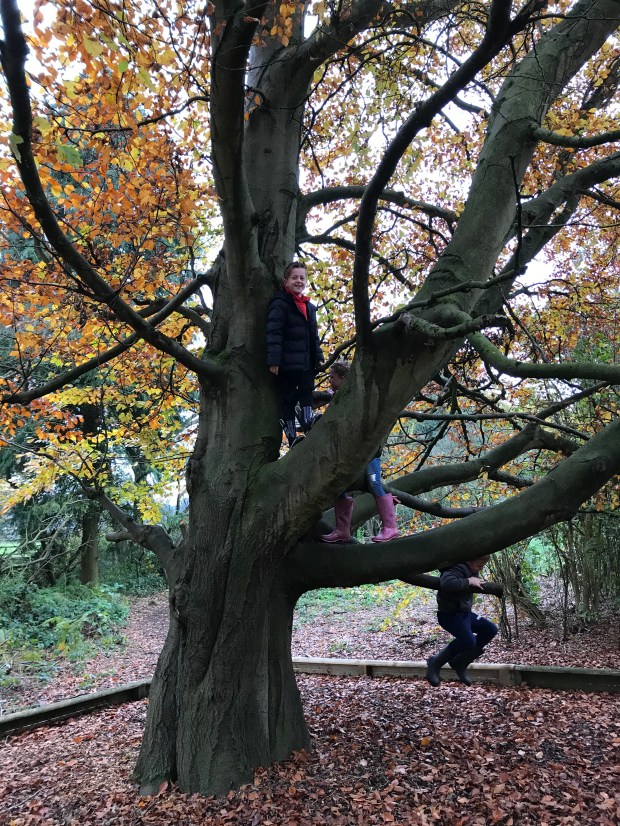 B27F0EB9-5757-43FD-B949-9B2BBCF731E8