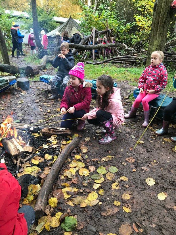 BC005F63-2AFF-4D93-A76E-E2FF53D76E6B