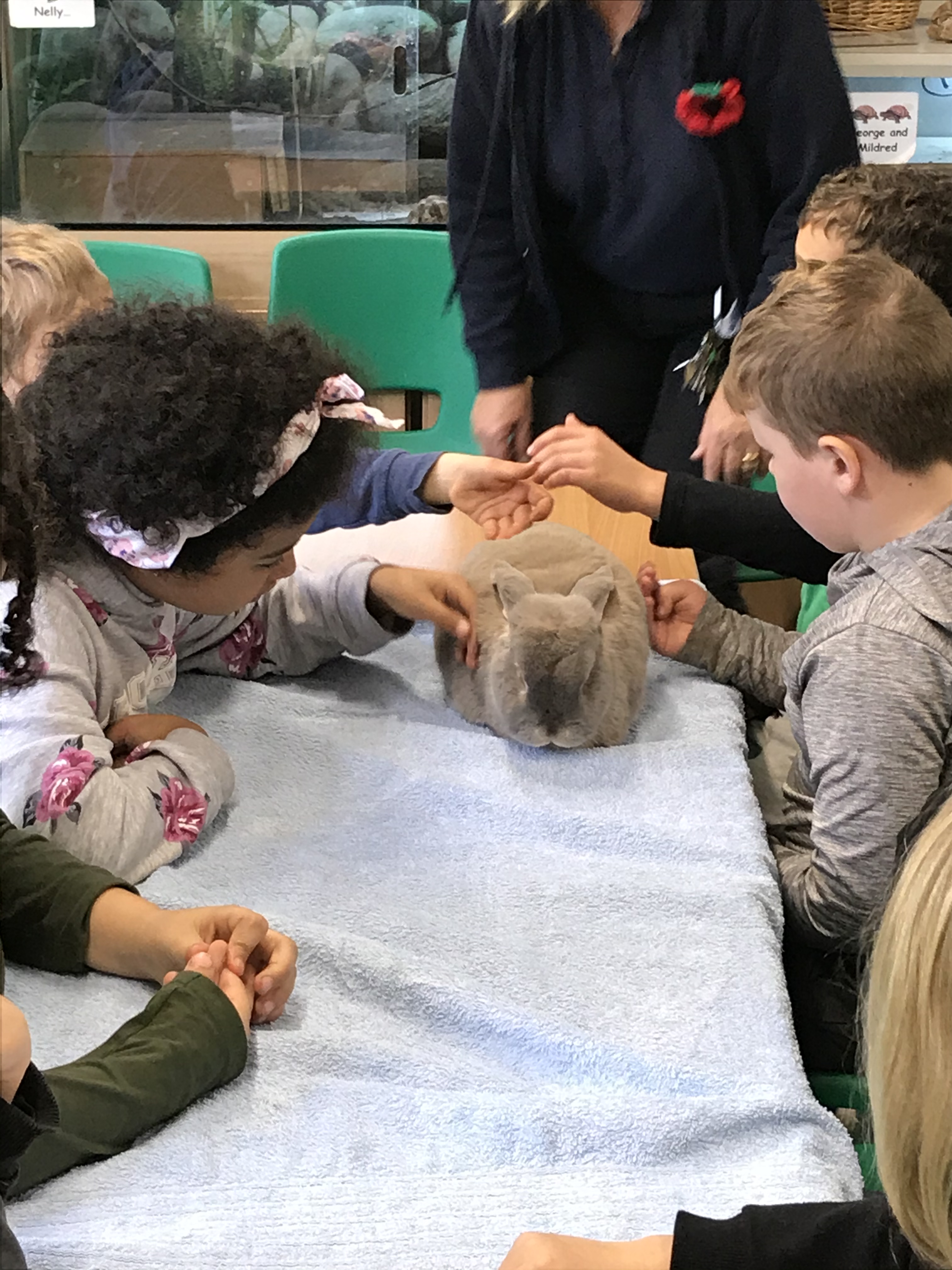 BD50362C-721B-4E5A-84D8-086288111ADD