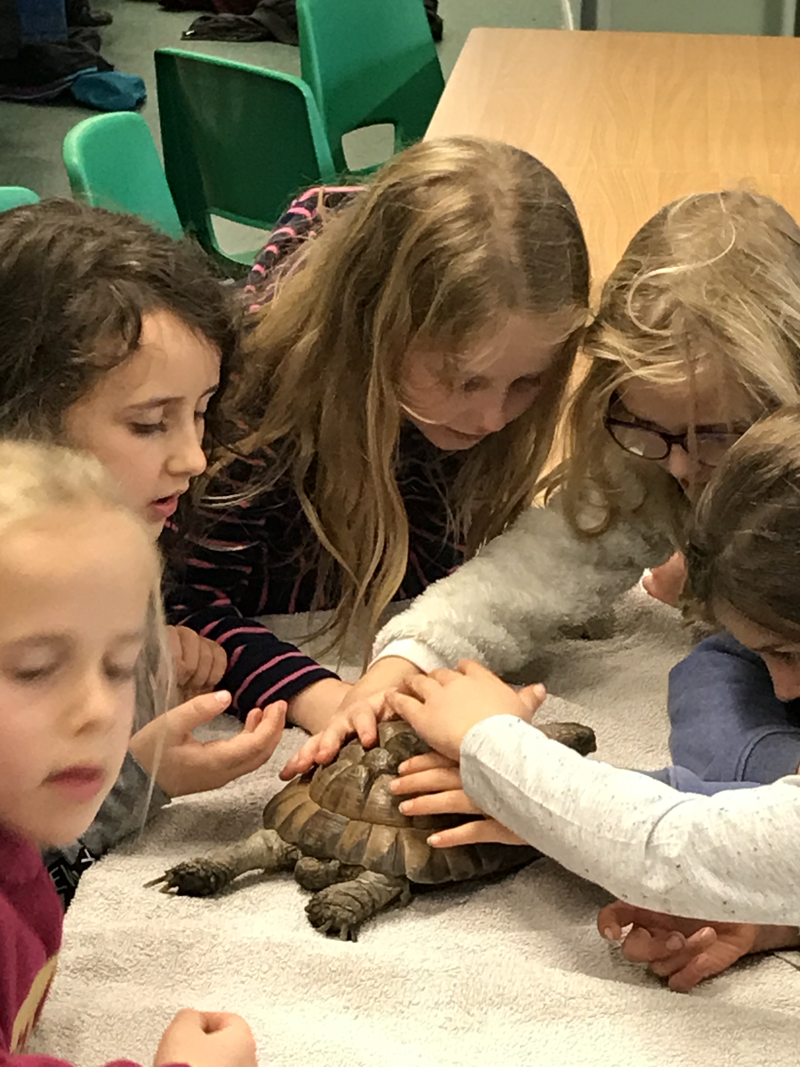 C919C51B-7ABB-48D6-A602-95C9D42B4BFE